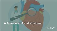 A Glance at Atrial Rhythms