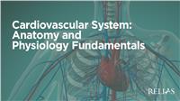 Cardiovascular System: Anatomy and Physiology Fundamentals