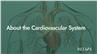 About the Cardiovascular System