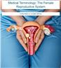 Medical Terminology: The Female Reproductive System