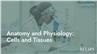 Anatomy and Physiology: Cells and Tissues