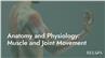 Anatomy and Physiology: Muscle and Joint Movement