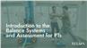 Introduction to the Balance Systems and Assessment for PTs