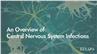 An Overview of Central Nervous System Infections